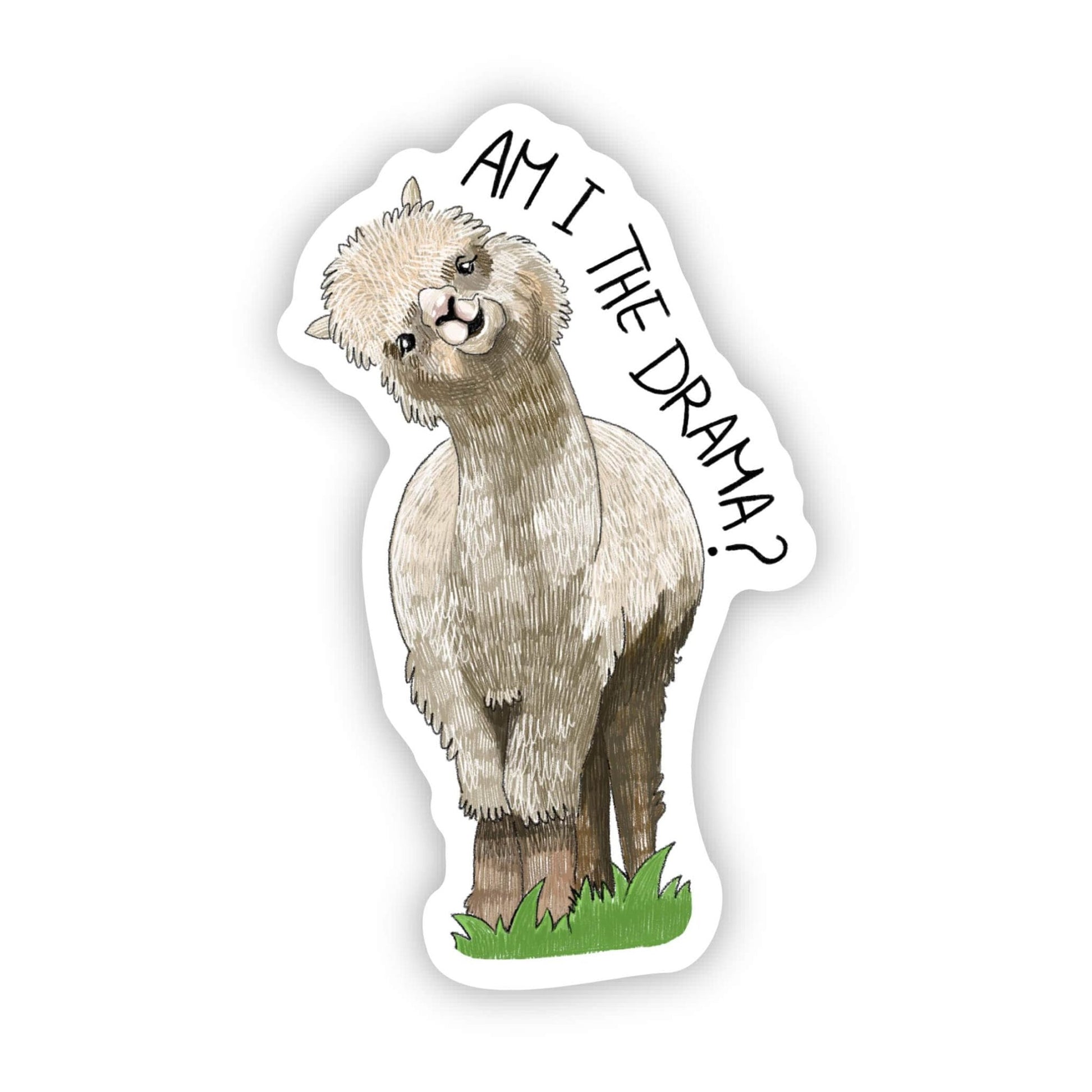 "Am I the drama" Llama - Uptown Boutique Ramona