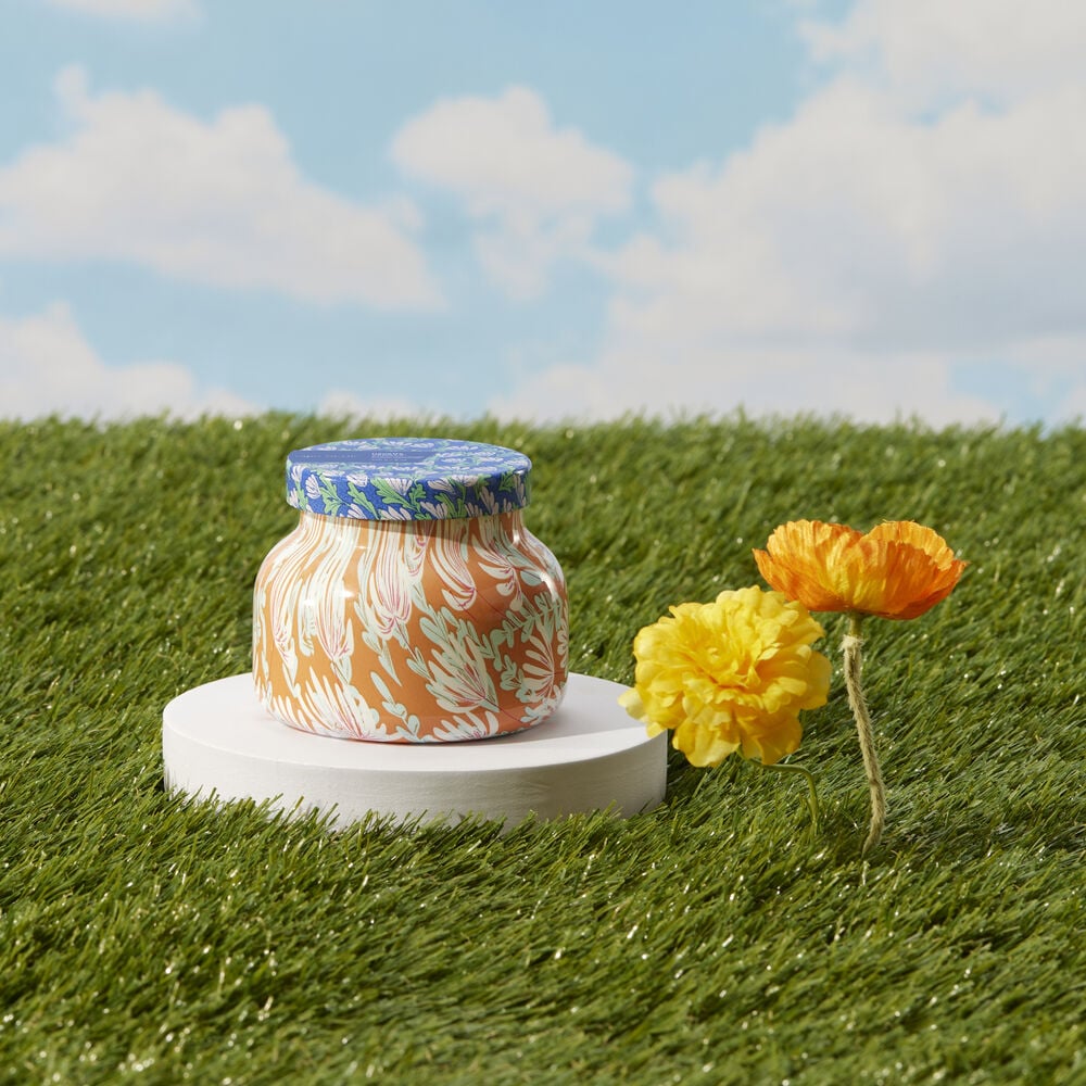 Havana Vanilla Pattern Play Petite Jar - Uptown Boutique Ramona