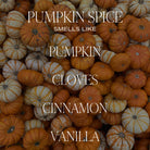 Pumpkin Spice Candle - Uptown Boutique Ramona
