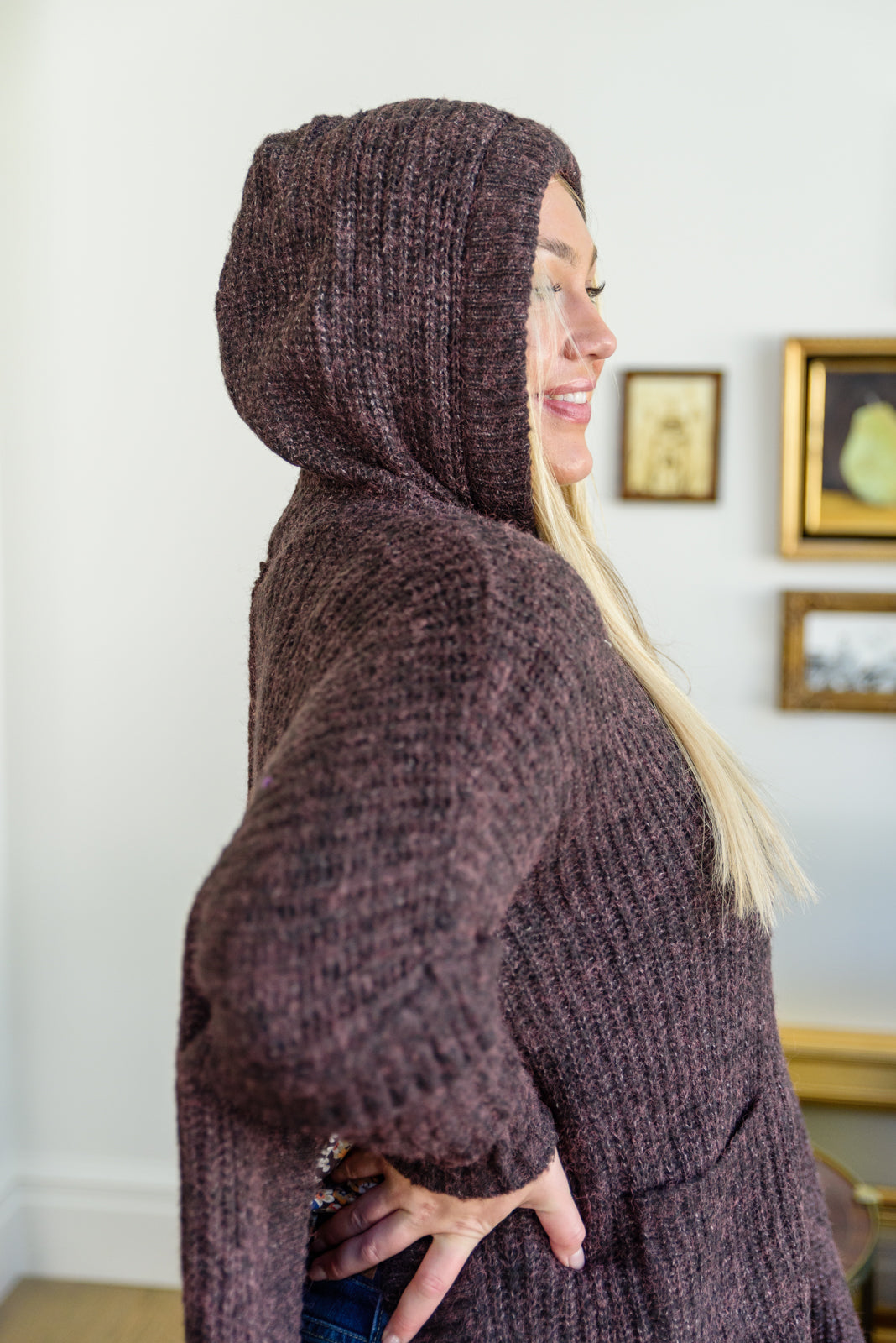 Views of Aspen Hooded Pull Over Sweater (Online Exclusive)